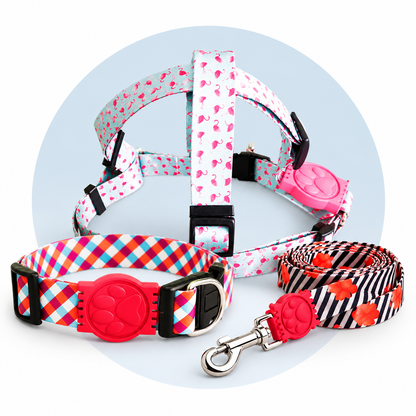 Kit Passeio Completo AuDog Club